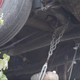 Illustration for article titled Joyless Town Wants Grandmother To Take Volkswagen Beetle Out Of Tree